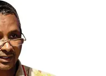 A ‘PARALLEL government