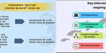 CASTING NETS Catching Success