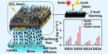 IIT Bombay scientists develop lotus leaf-like solar evaporators for saltwater treatment