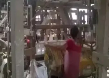 India’s raw silk production increases to 34,042 metric tonnes in April-January