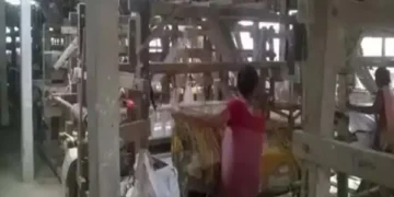 India’s raw silk production increases to 34,042 metric tonnes in April-January