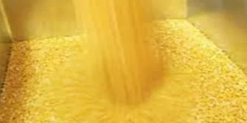 Tur procurement at MSP in full swing in states, over 2.56 lakh farmers benefit