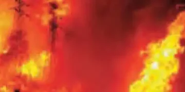 'Hopefully the money allocated for preventing fire will not be spent on iPhones'