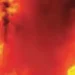 'Hopefully the money allocated for preventing fire will not be spent on iPhones'