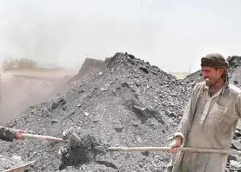 Coal import bill falls as local production surges