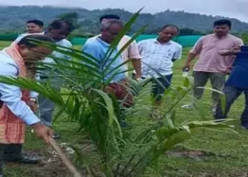 Cooking oil to turn cheaper as Centre halves customs duty on imports