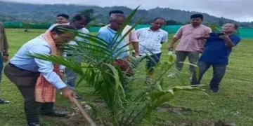 Cooking oil to turn cheaper as Centre halves customs duty on imports