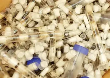 Ecological disaster awaits Kenya