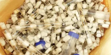 Ecological disaster awaits Kenya