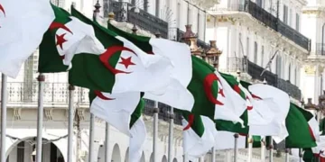 France-Algeria diplomatic ties reach new low