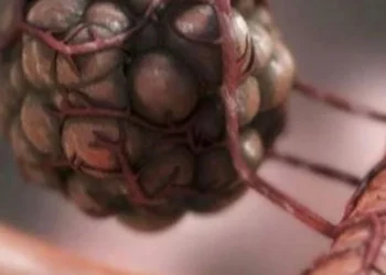 Researchers find genetic fingerprints to predict efficacy of immunotherapy