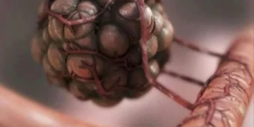 Researchers find genetic fingerprints to predict efficacy of immunotherapy