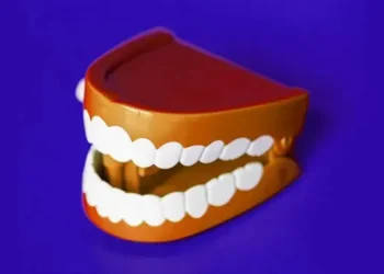 Study links bacteria in gums to heart rhythm disorder