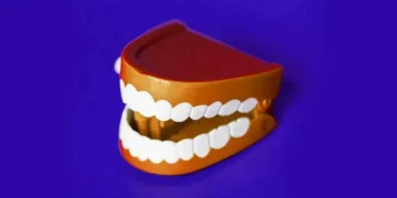 Study links bacteria in gums to heart rhythm disorder