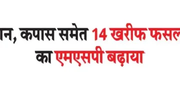 MSP of 14 Kharif crops including paddy, cotton increased