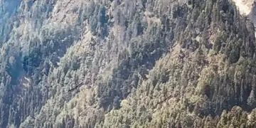 Terrorists are entering through forests and inaccessible routes