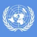 united nations organisation