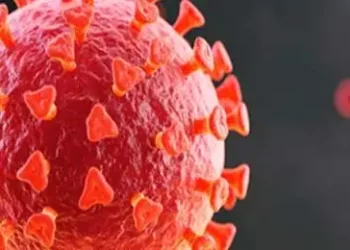 Covid-19 virus protein triggers immune attack on healthy cells