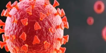 Covid-19 virus protein triggers immune attack on healthy cells