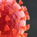 Covid-19 virus protein triggers immune attack on healthy cells
