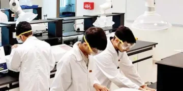 Cross-border learning