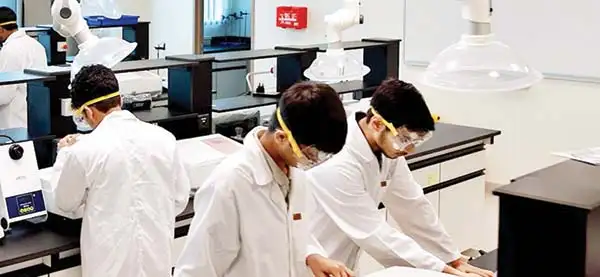 Cross-border learning