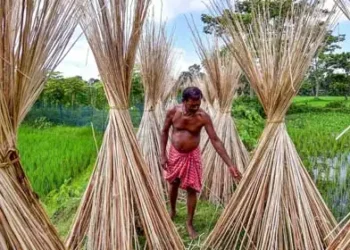 Curbs on imports from Bangladesh