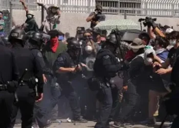 Curfew imposed in downtown Los Angeles after protests, looting spark chaos