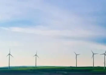 India to create 7.29 million green jobs by FY28, 35 million by 2047