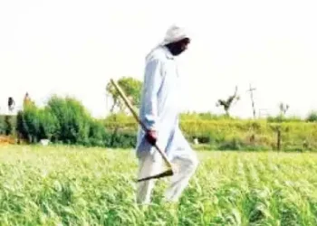 Yogi government will give a big gift to the farmers