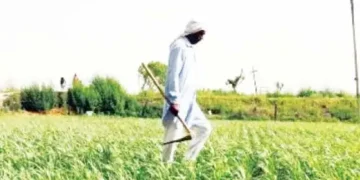 Yogi government will give a big gift to the farmers