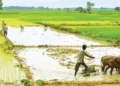 देश की इकॉनमी को मिला खेती-बाड़ी का सहारा