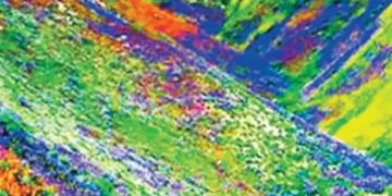 The valley of Uttarakhand changes its colour every 15 days