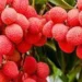 litchi