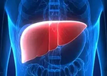 liver