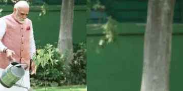 PM Modi planted a vermilion plant at the Prime Minister's residence