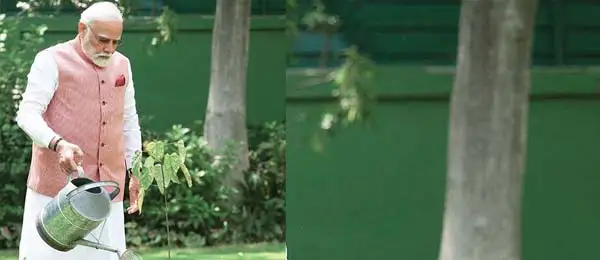 PM Modi planted a vermilion plant at the Prime Minister's residence