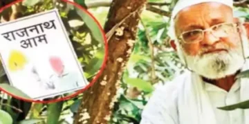 After 'Modi' and 'Shah' now 'Rajnath' mango is available in the market