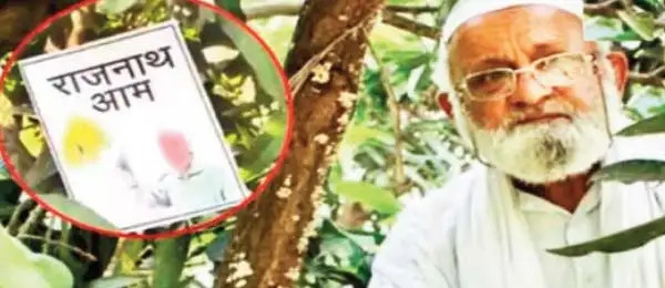 After 'Modi' and 'Shah' now 'Rajnath' mango is available in the market