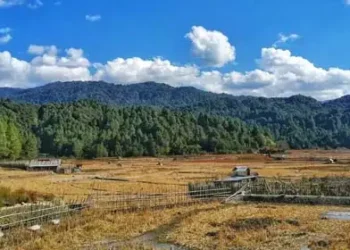 Arunachal’s big contribution to carbon segregation
