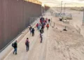 Illegal crossings plunge