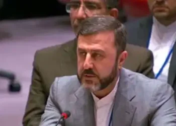 Iran agrees to IAEA visit in coming weeks