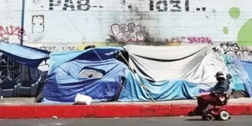 Trump orders clean-up