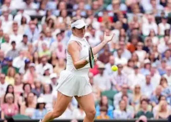 Wimbledon organisers apologise after glitch