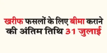 Last date for getting insurance for Kharif crops is 31st July