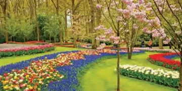 Preparations underway to build gardens at three more places in Gorakshanagari