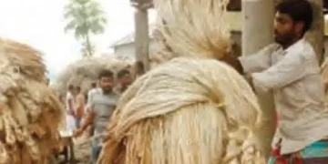 India bans jute import from Bangladesh