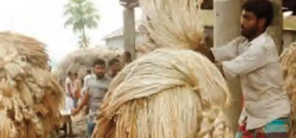 India bans jute import from Bangladesh