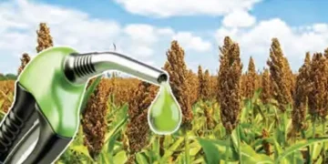Say goodbye to petrol! Now ethanol will be made from sweet sorghum.