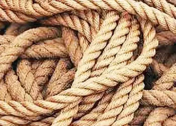 Curbs on jute imports from Bangladesh